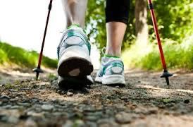 You are currently viewing Nordic Walking am Vormittag!